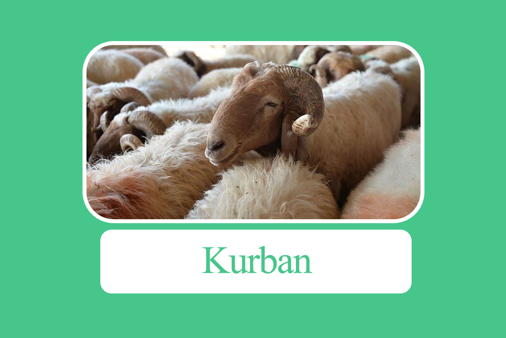 kurban